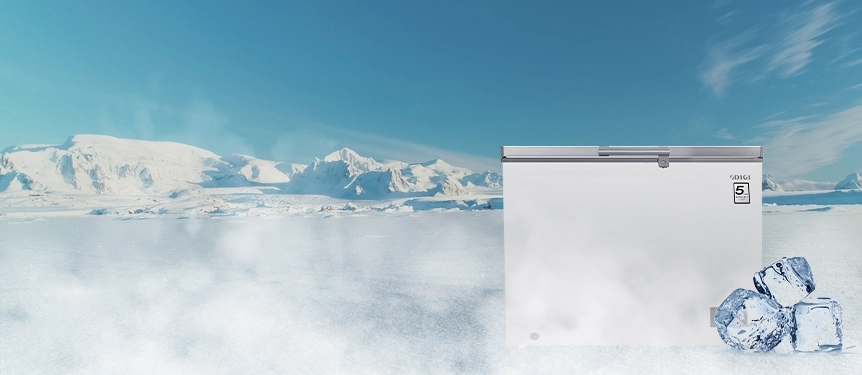 Freezers cover image